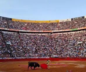 "Sin crueldad": Así es la propuesta de Clara Brugada para las corridas de toros sin violencia