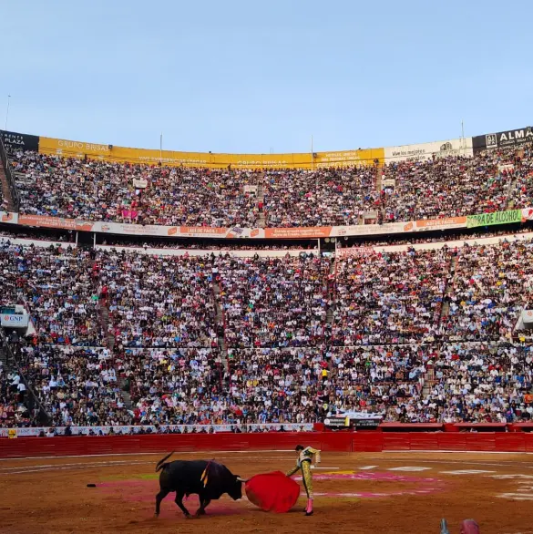 "Sin crueldad": Así es la propuesta de Clara Brugada para las corridas de toros sin violencia