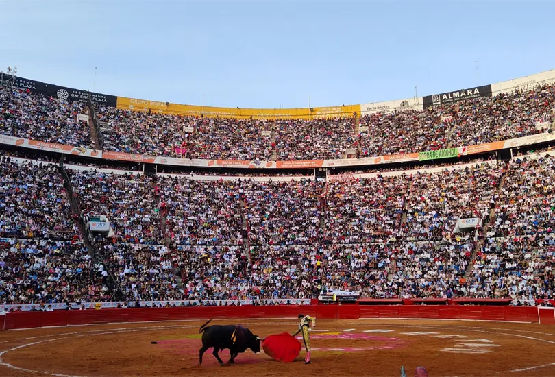 La propuesta busca que permanezca la tradici&oacute;n pero sin la crueldad.