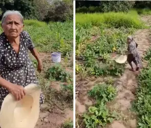Abuelita campesina ve un dron, intenta ahuyentarlo y luego huye de él