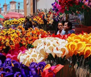 VIDEO: El Día de las Flores 2025, color y tradición en Guanajuato