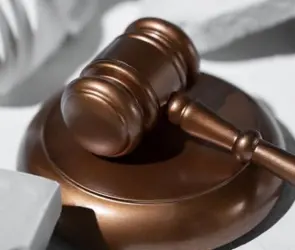 Elección Judicial 2025: Conoce a los candidatos y consulta su perfil antes de votar