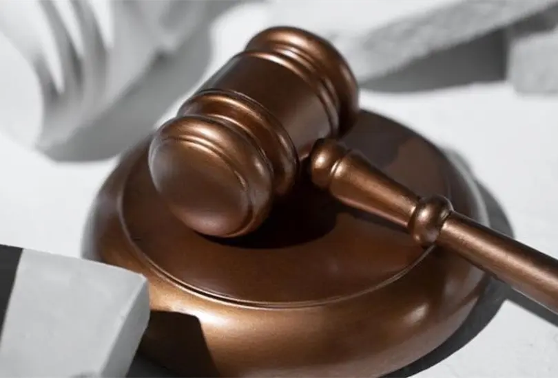 Elecci&oacute;n Judicial 2025: Conoce a los candidatos y consulta su perfil antes de votar