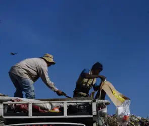 Pepenadores hallan a una mujer muerta envuelta en una cobija en Edomex