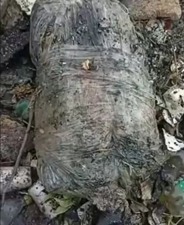 Fueron localizados dos torsos humanos, uno con cráneo y otro sin él, así como extremidades dispersas. X.