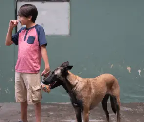 Goya: Cómo el amor a las mascotas puede sanar nuestras heridas