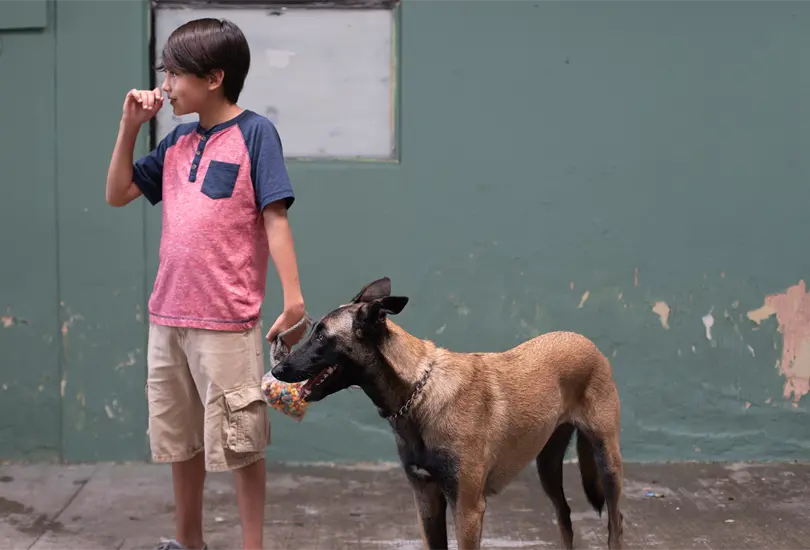 Entrevista con Pablo Orta, director de la pel&iacute;cula Goya