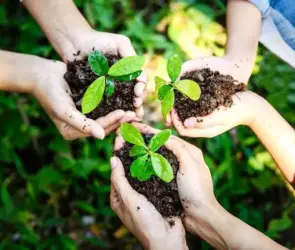 Cómo salvar el planeta en 2025: 7 acciones sostenibles que realmente funcionan