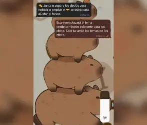¿Cómo activar el modo capibara en WhatsApp?