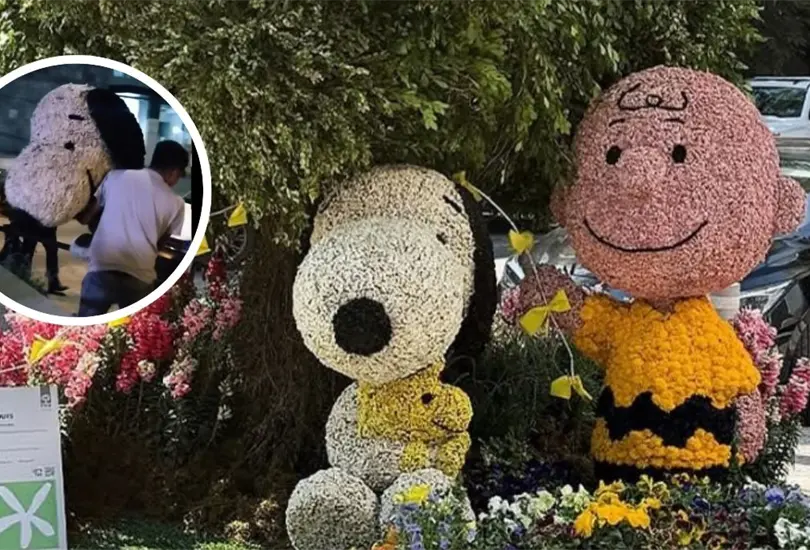 Robo de Snoopy