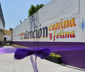 Ya hay un nuevo centro de rescate de perros y gatos en la alcaldía Cuauhtémoc