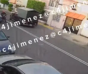Taquero atropella a perrito "Ody" en la GAM y se lo lleva; dueños temen que usará su carne