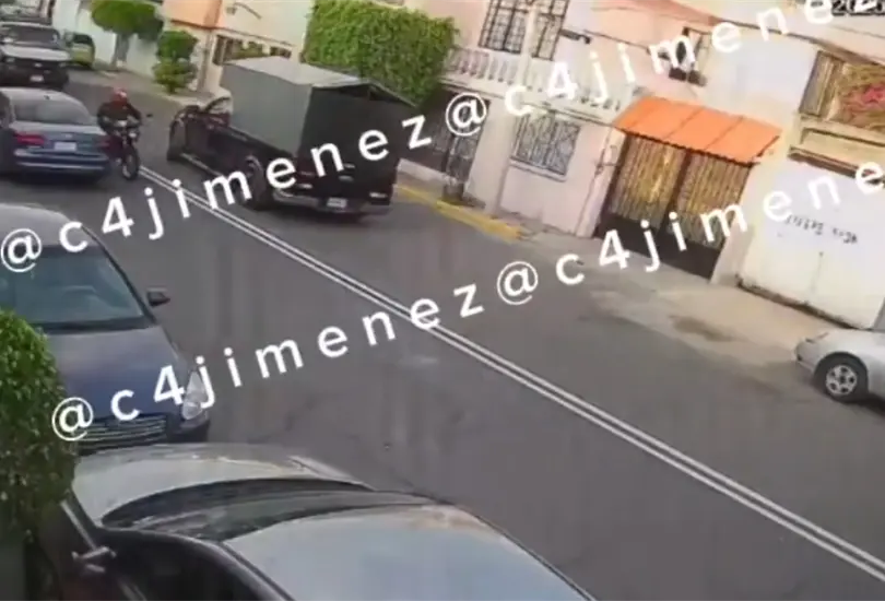 Taquero atropella a perrito "Ody" en la GAM y se lo lleva