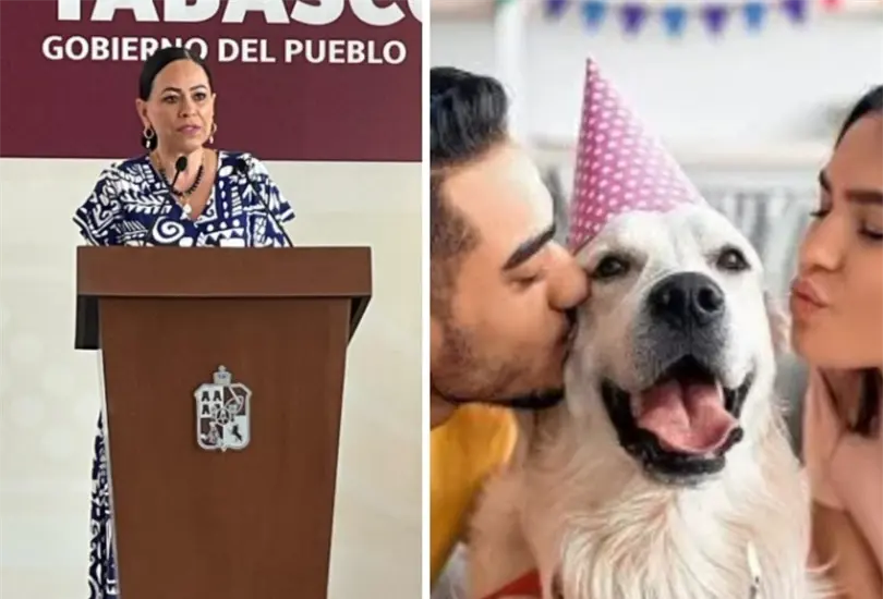 Ha habido mucha rotaci&oacute;n de maestros debido a la baja de matricula.