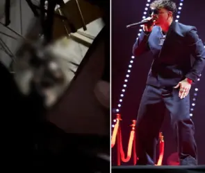 "¡Ayúdenlas!": Colapsan gradas del Palacio de los Deportes durante concierto de Quevedo