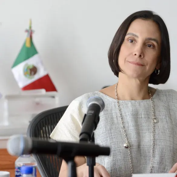 Luz Elena González presenta modelo energético para regular contratos y permisos