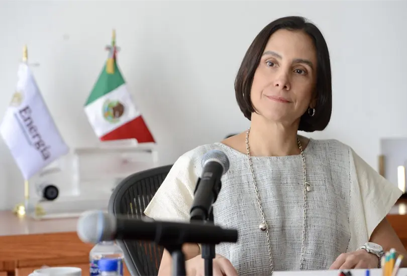 Luz Elena Gonz&aacute;lez presenta modelo energ&eacute;tico para regular contratos y permisos