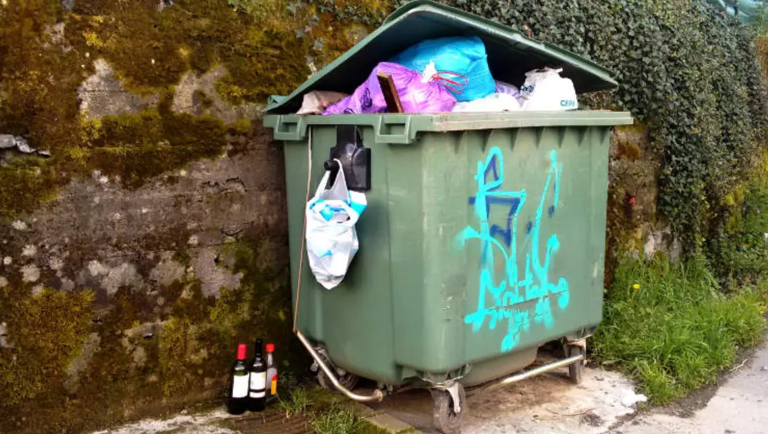 Apareció en un contenedor de basura. Especial.