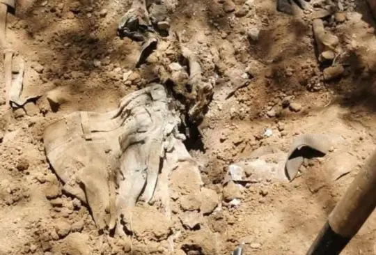 Hallan seis cuerpos en fosas clandestinas de Sonora Hallan seis cuerpos en fosas clandestinas de Sonora