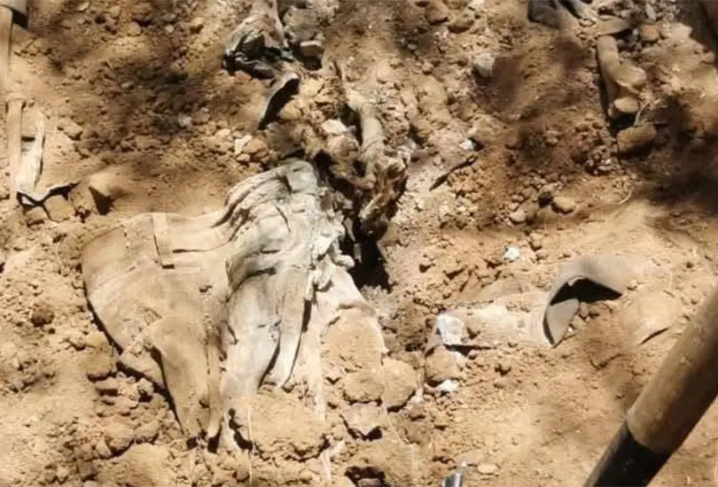Hallan seis cuerpos en fosas clandestinas de Sonora