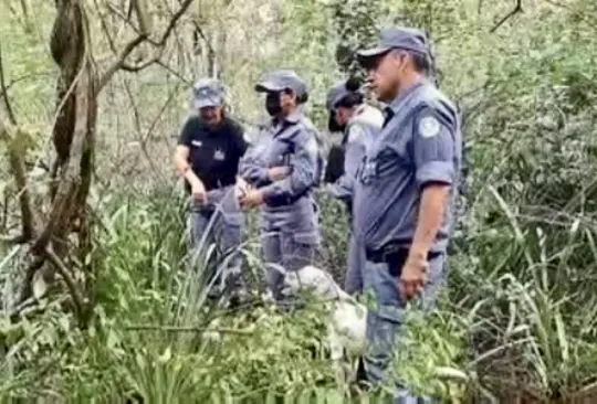 "Solo les pedí que cuidaran mi hija": el macabro crimen de María Maidana, una menor de 5 años "Solo les pedí que cuidaran mi hija": el macabro crimen de María Maidana, una menor de 5 años