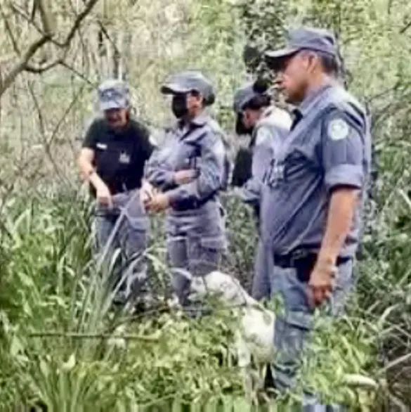 "Solo les pedí que cuidaran mi hija": el macabro crimen de María Maidana, una menor de 5 años