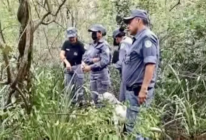 "Solo les ped&iacute; que cuidaran mi hija": el macabro crimen de Mar&iacute;a Maidana, una menor de 5 a&ntilde;os