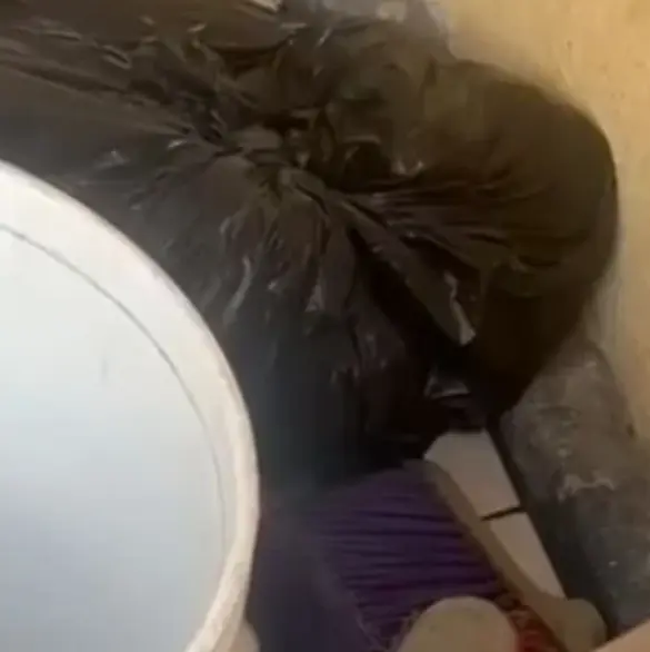 Mujer mata a cachorro metiéndolo en una bolsa con cloro