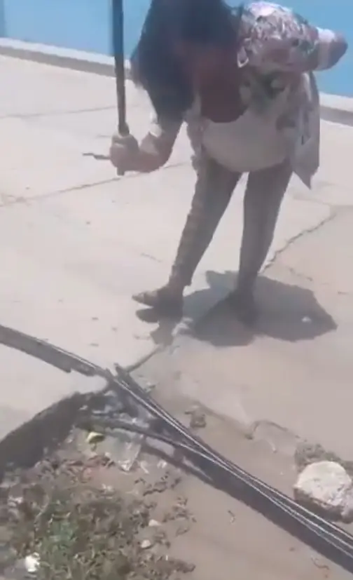 Con un machete, la mujer comenzó a cortar las mangueras. Captura de pantalla.