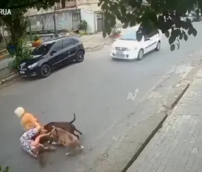Mujer embarazada sufre caída al intentar proteger a su perro de dos canes sueltos