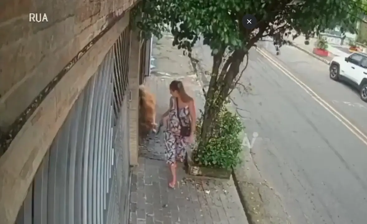 La mujer iba paseando tranquilamente por la calle. Captura de pantalla.