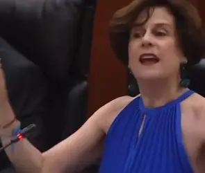 Creyó que estaba en Televisa: Senado pone en mute a Denise Dresser y estallan las burlas
