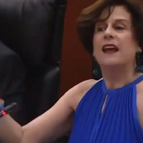 Creyó que estaba en Televisa: Senado pone en mute a Denise Dresser y estallan las burlas