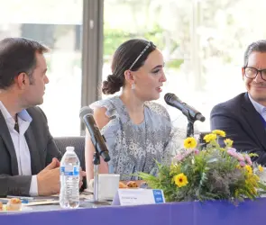 México puede convertirse en proveedor clave para firmas globales: Altagracia Gómez