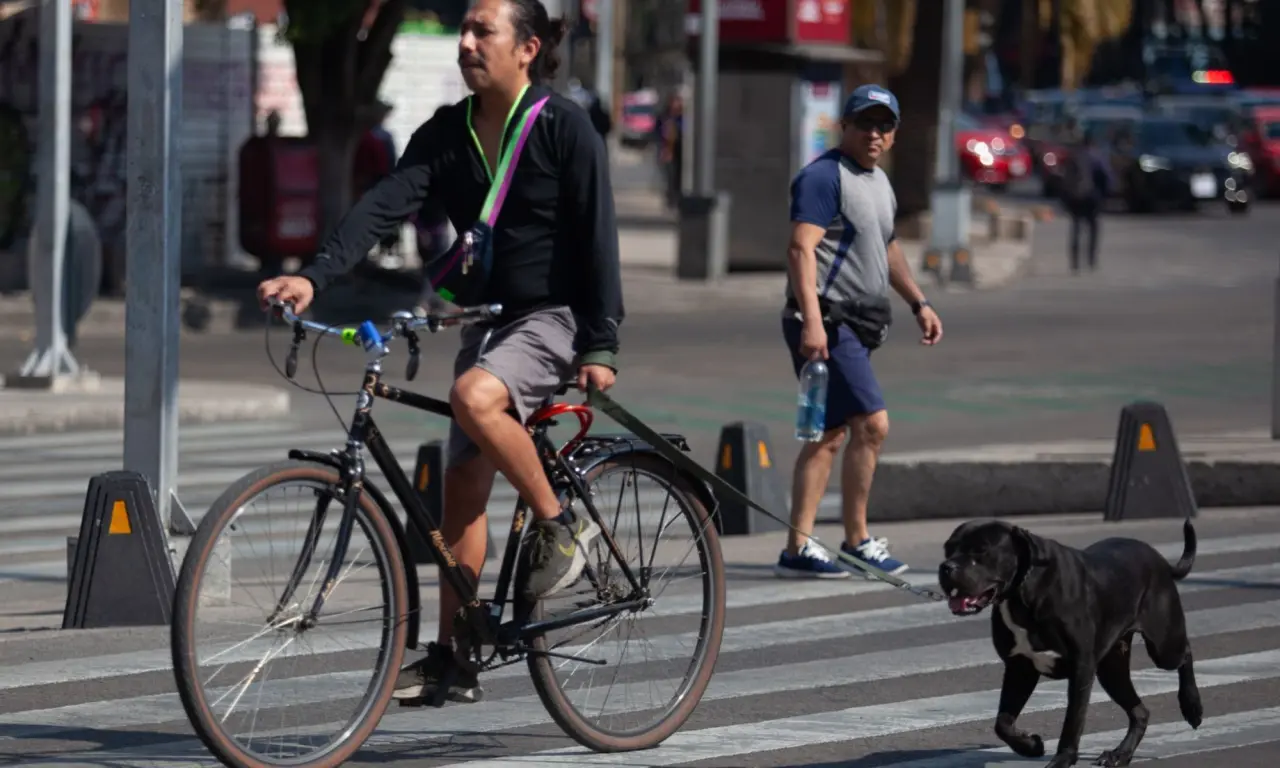  Se busca tener una movilidad más sostenible. 