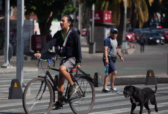 Se busca tener una movilidad más sostenible. Se busca tener una movilidad más sostenible.
