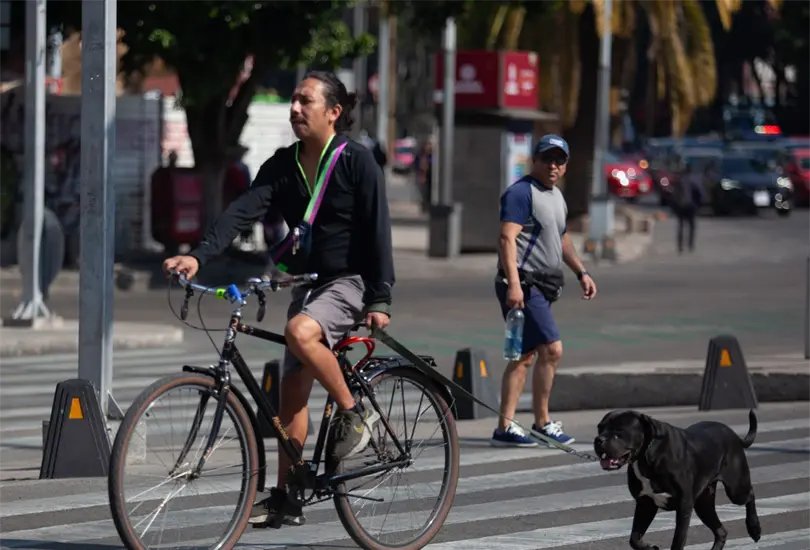 Se busca tener una movilidad m&aacute;s sostenible.