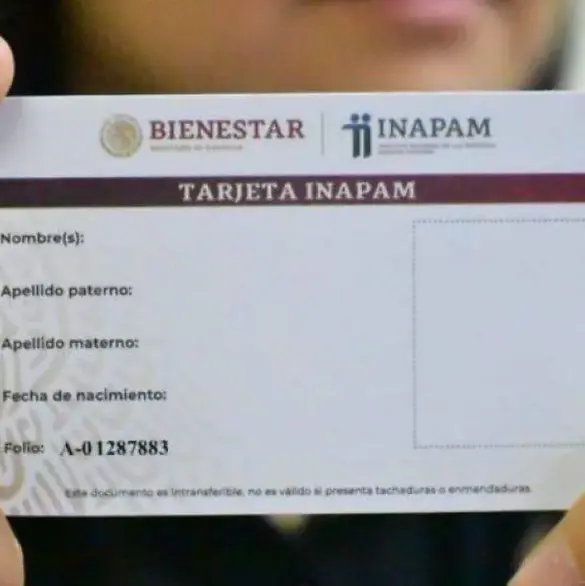 ¿Perdiste tu tarjeta INAPAM? No te preocupes, así puedes reponerla gratis