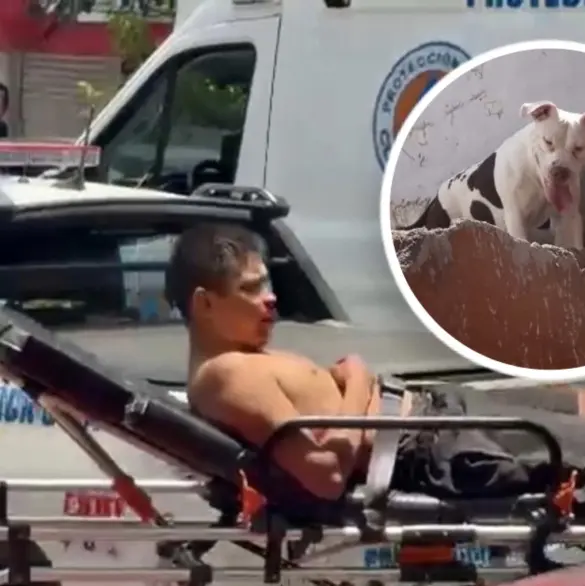 Hombre es atacado por seis pitbull en su casa de Santa María la Ribera