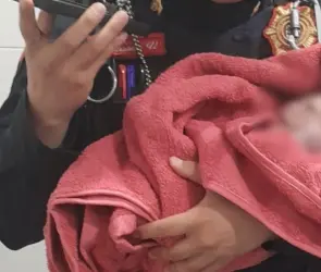 Hallan a recién nacido dentro de bote de basura en tienda de Álvaro Obregón