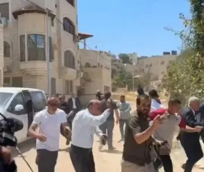 Ejército israelí ataca a funcionarios mexicanos en Cisjordania; cancillería exige explicación 