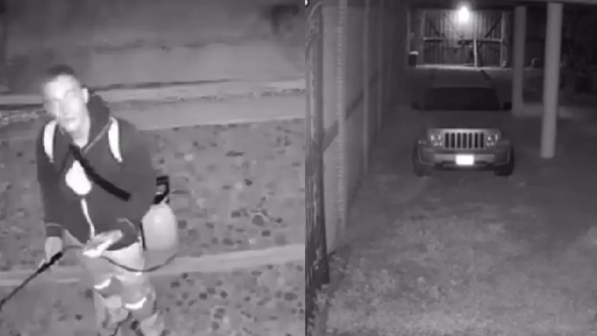  El caso de crueldad animal ha causado gran indignación. 