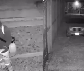 Captan a extranjero rociando ácido a perritos en Oaxaca | VIDEO 