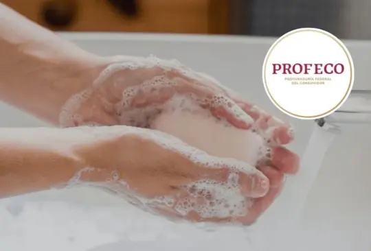Estas son las mejores marcas de jabón para bañarse, según la Profeco. Estas son las mejores marcas de jabón para bañarse, según la Profeco.