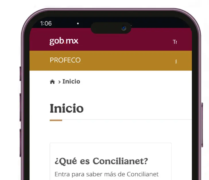Podrás presentar tu queja desde tu dispositivo móvil. Profeco.