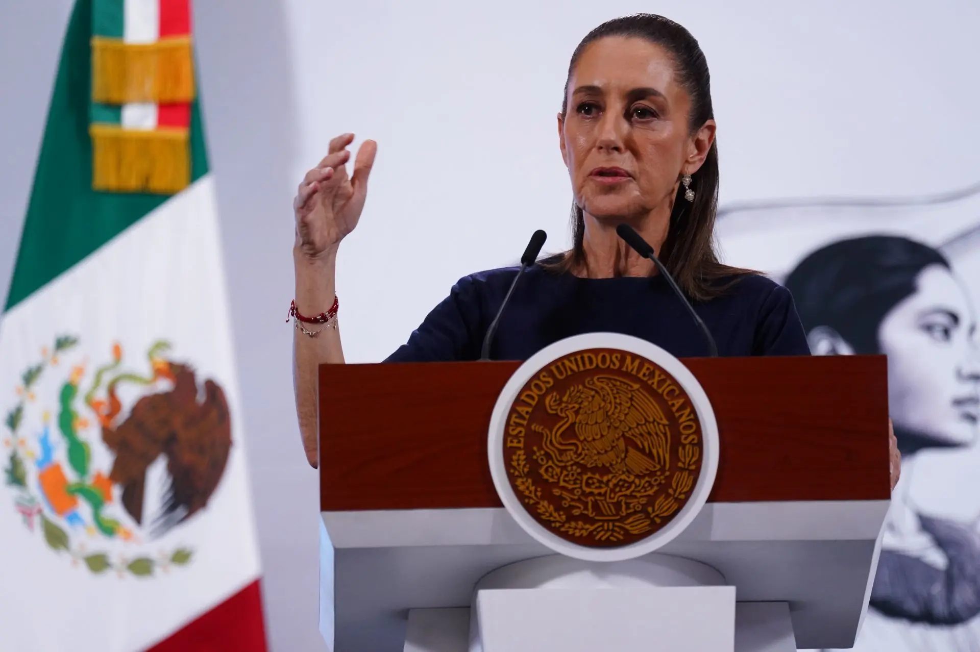 La presidenta reprobó los dichos. Presidenta.