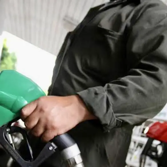 Precio de gasolina regular seguirá controlado en 2025, confirma Sener