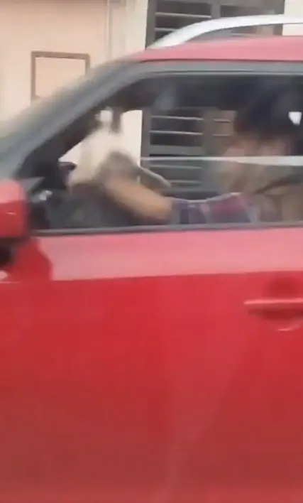 Niña corre tras vehículo de su madre Especial