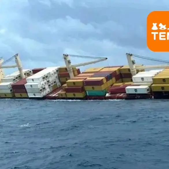 ¿Compraste en Temu? La verdad sobre el barco que transportaba productos que se hundió en el mar