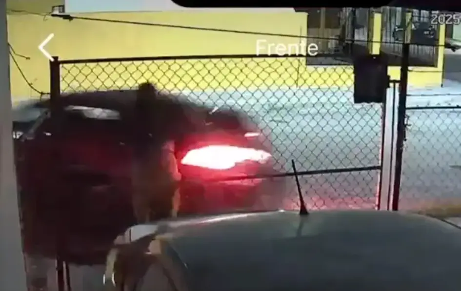 Wendy fue embestida frente a una reja metálica. Captura de pantalla